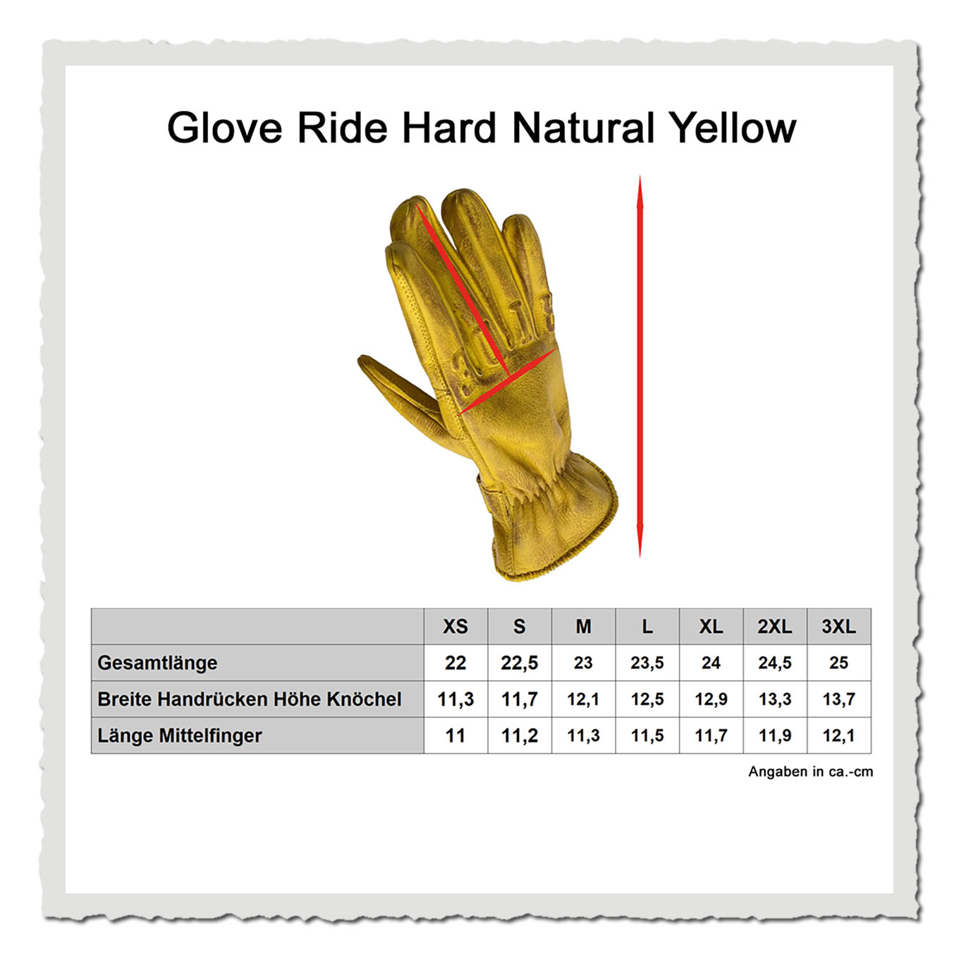 Masstabelle Motorradhandschuh mit Größen-Grafik und freigestelltem Handschuh vor hellem Hintergrund